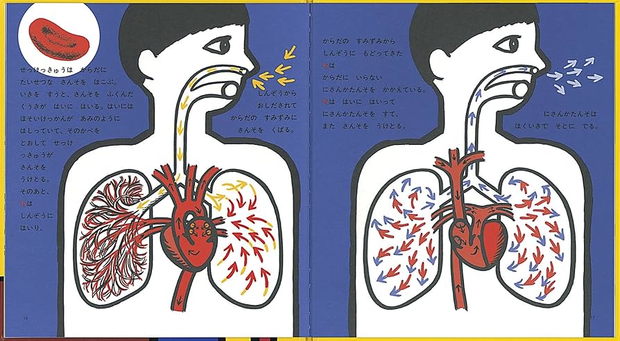 ちのはなし ちのはなし (かがくのとも傑作集―わくわくにんげん) : Amazon.de